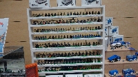 BrickCityDays 2016 (1)