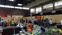BrickCityDays 2016 (16)