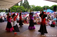 Festival der Kulturen 2014/2015 (1) Festival der Kulturen 2014/2015 (1)